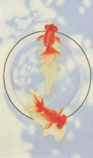 村上弘人 村上弘人