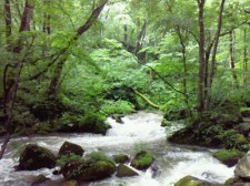 夏季休廊 夏季休廊